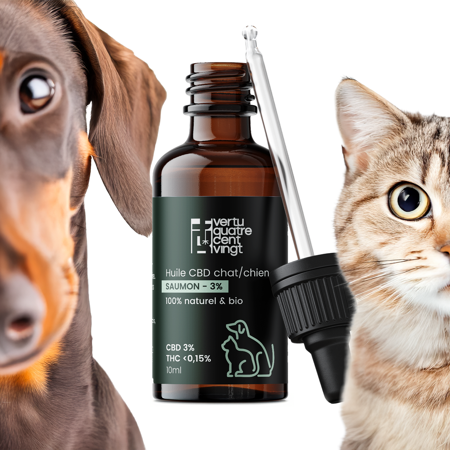 Huile de CBD BIO 3% pour chat & petit chien - Saumon Vertu420