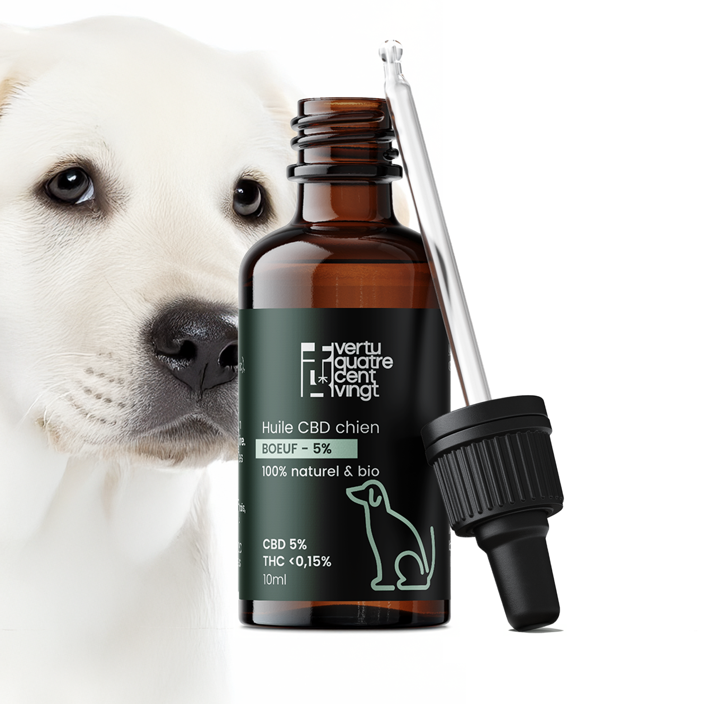Huile de CBD BIO 5% pour chien - Boeuf Vertu420