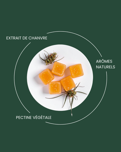 Gummies CBD 10mg Vertu420